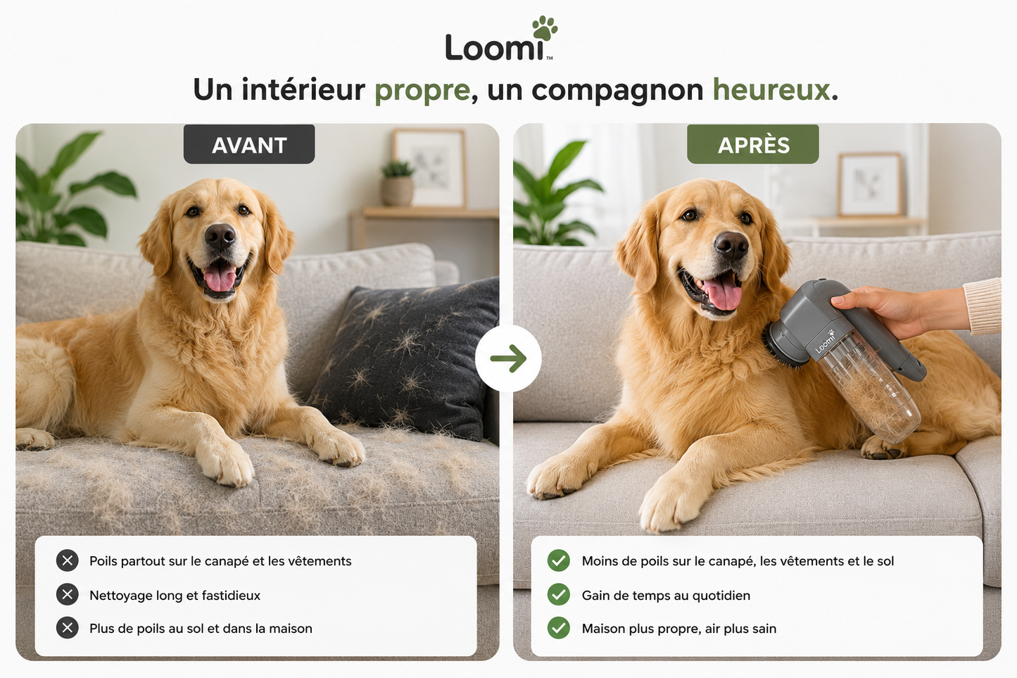 Loomi™ GroomVac - Aspirateur de Toilettage pour Chiens & Chats